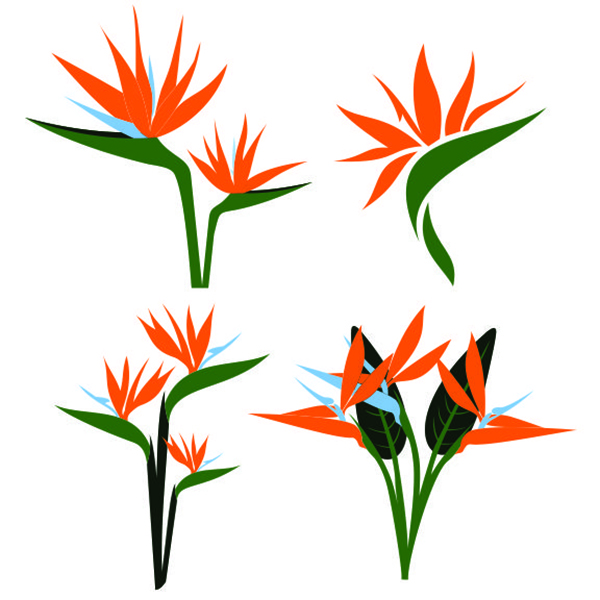 Birds of Paradise Flower SVG Cuttable Files