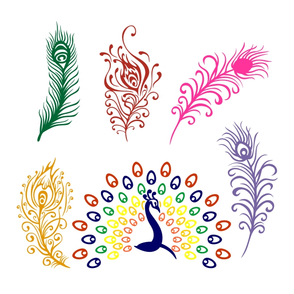Peacock Feathers SVG Cuttable Designs