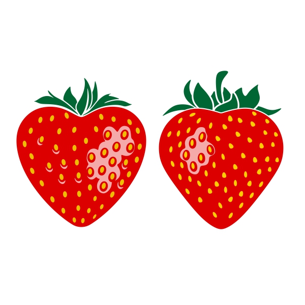 Strawberry SVG Cuttable Design