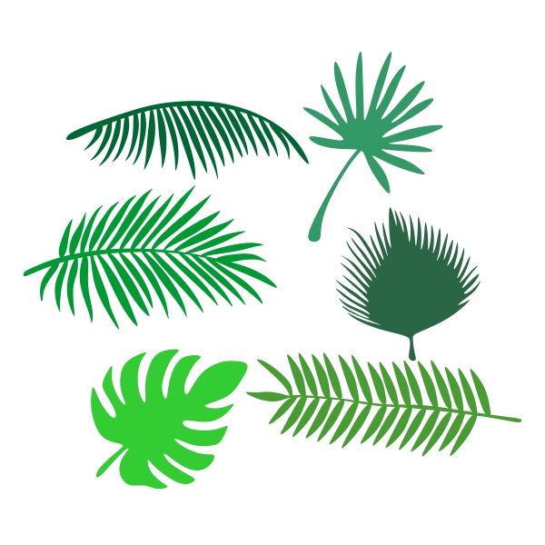 Tropical Palm Leaf SVG Cuttable Design