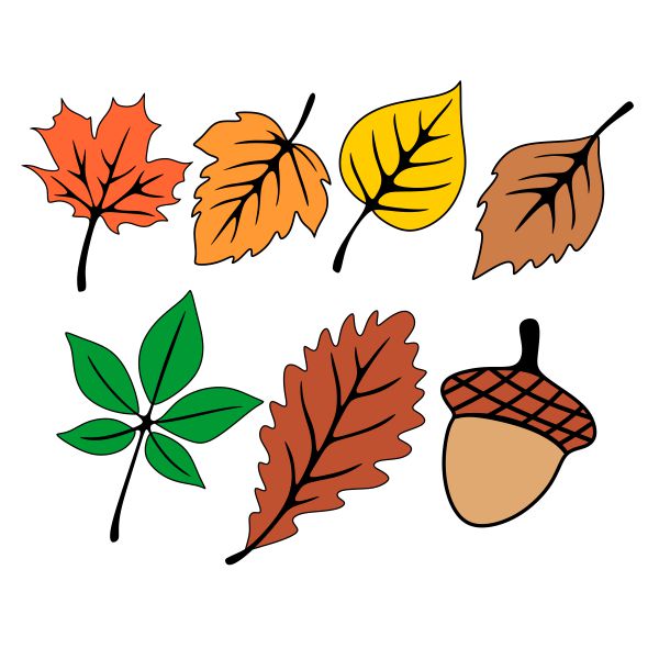 Fall Leaves Pack SVG Cuttable Design