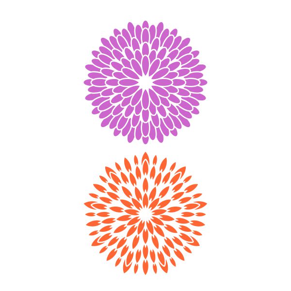Chrysanthemum Chrysanthe Mum Flower SVG Cuttable Design