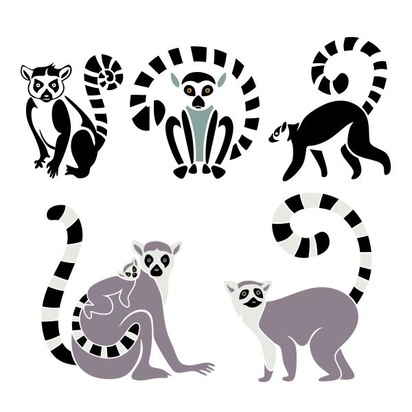 Madagascar Lemur SVG Cuttable Design