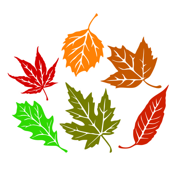 Fall Leaves Pack SVG Cuttable Design