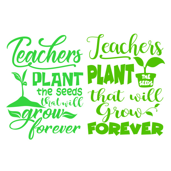 Teachers Plant the Seeds that will Grow Forever SVG Cuttable Design