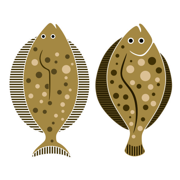 Flatfish Flat Fish SVG Cuttable Design