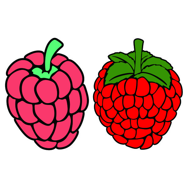 Raspberry SVG Cuttable Design