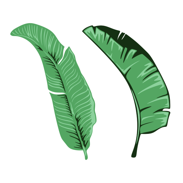 Palm Banana Leaf Cuttable Design