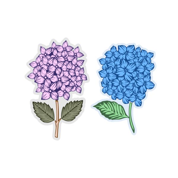 Hydrangea Flower Cuttable Design