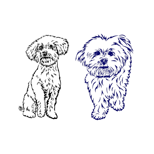 Bijon or Bichon Frise Dog Drawing SVG Cuttable Designs