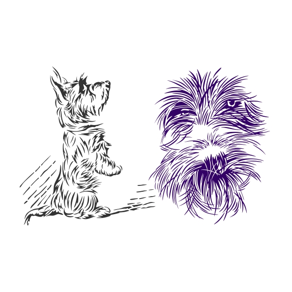 Scottie or Scottish Terrier Dog from Scotland Line Art SVG Cuttable Designs