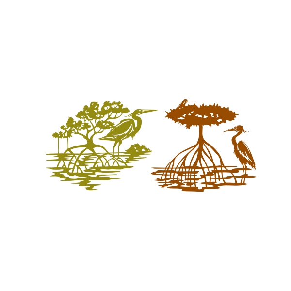 Mangrove Forest Swamp with Tree and Pelican Silhouette SVG Cuttable Designs