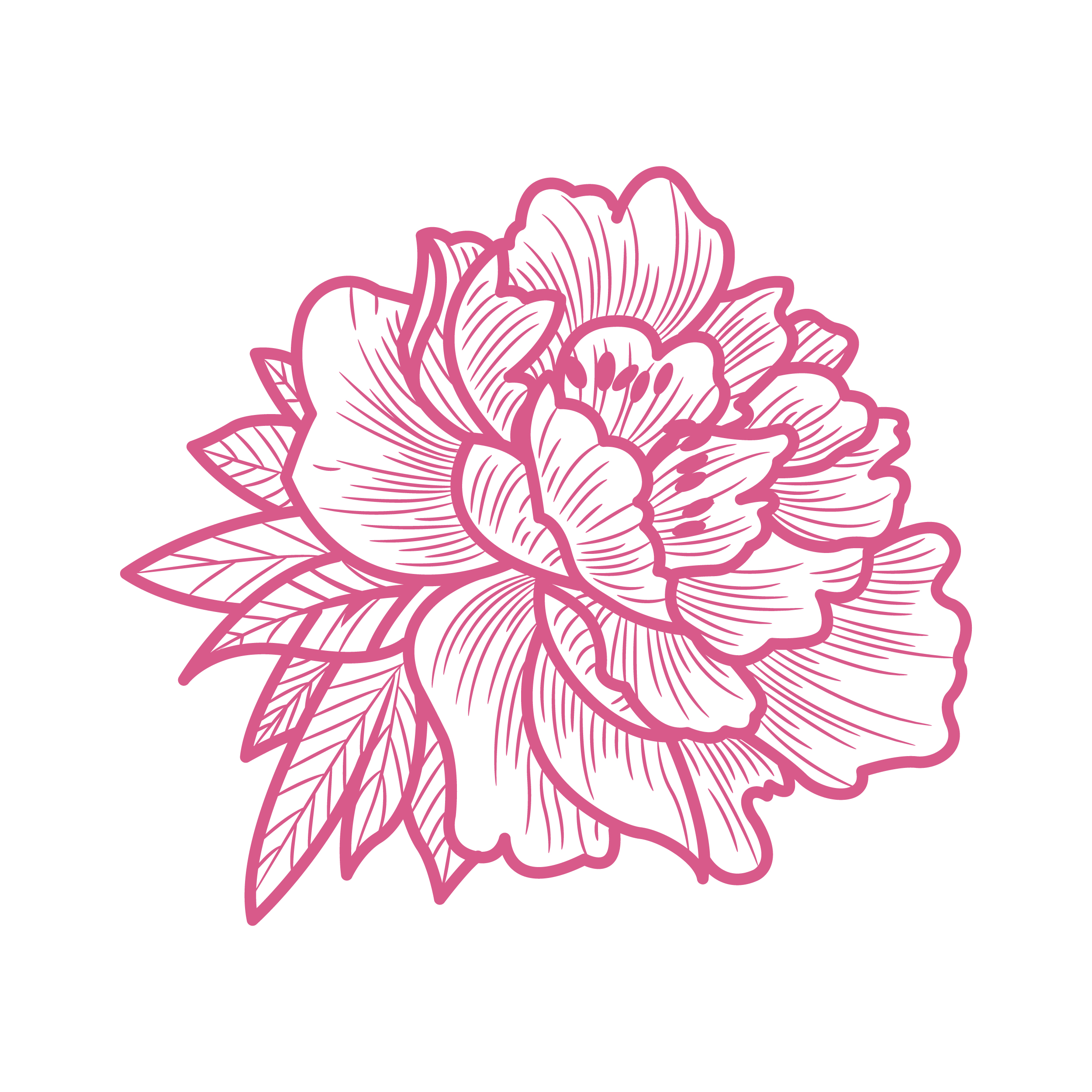 Blooming Peony Flower SVG Cuttable Design