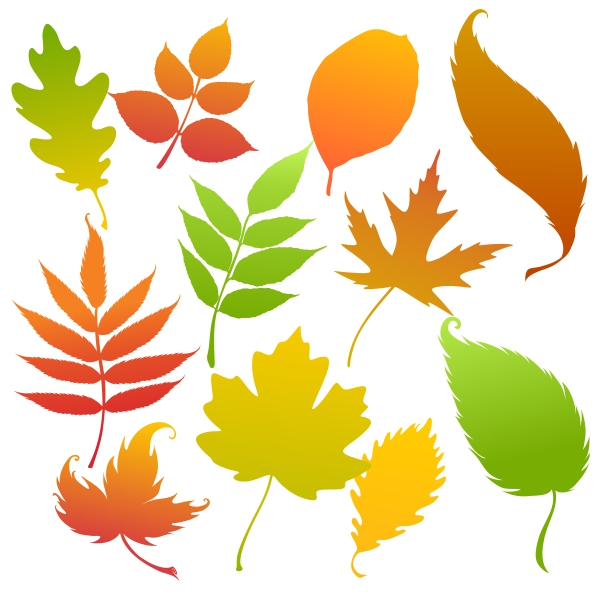 Fall Leaves Cuttable Designs