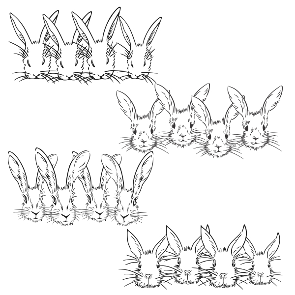 Rabbit Bunny Head Boarders Cuttable Designs