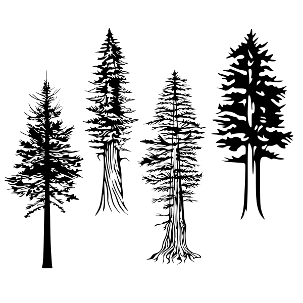 Pacfic Northwest Washington State Trees Cuttable Designs