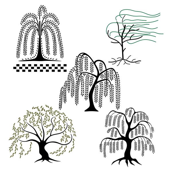 Willow Tree Svg Designs Cuttable