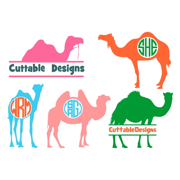 Camel SVG Cuttable Frames
