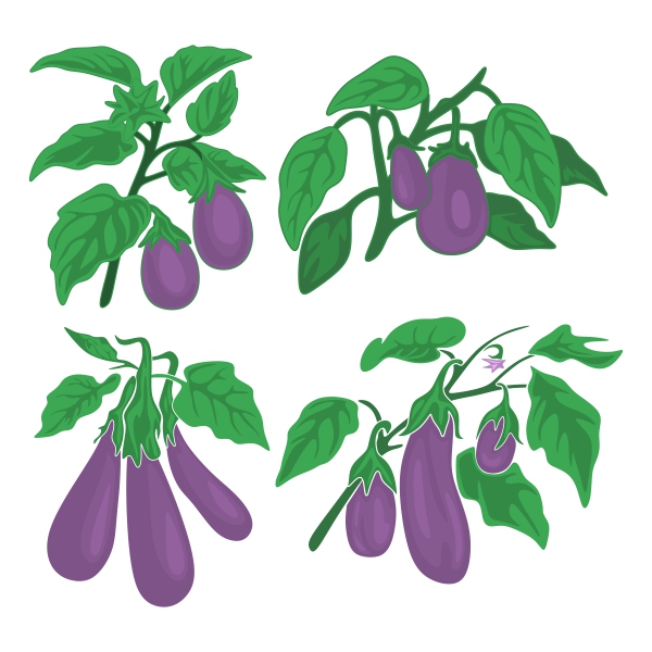 Eggplant SVG Cuttable Designs