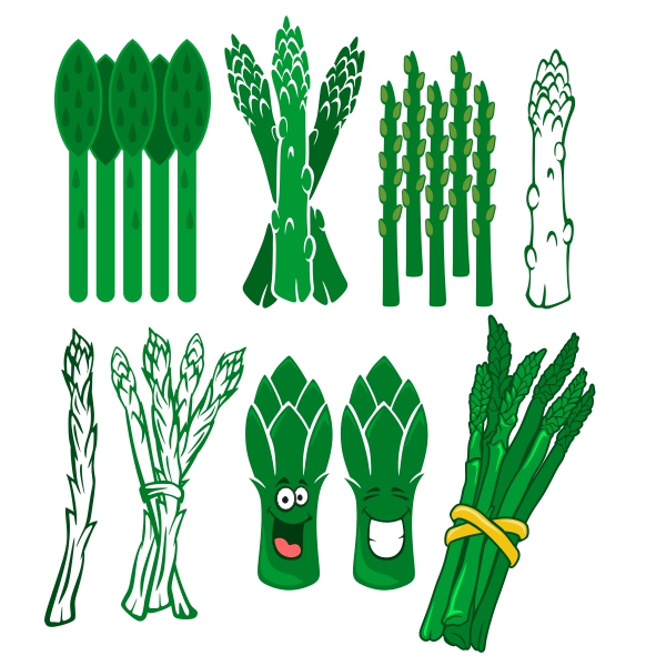 Asparagus Cuttable Designs