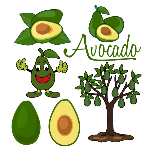 Avocado SVG Cuttable Designs