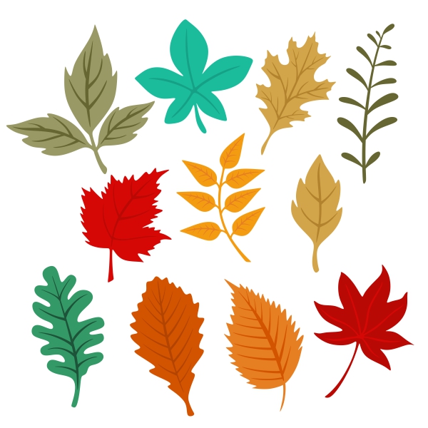 Autumn Leaves SVG Cuttable Designs