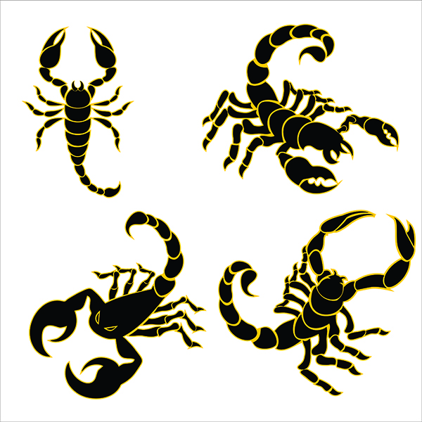 Scorpion Cuttable Designs