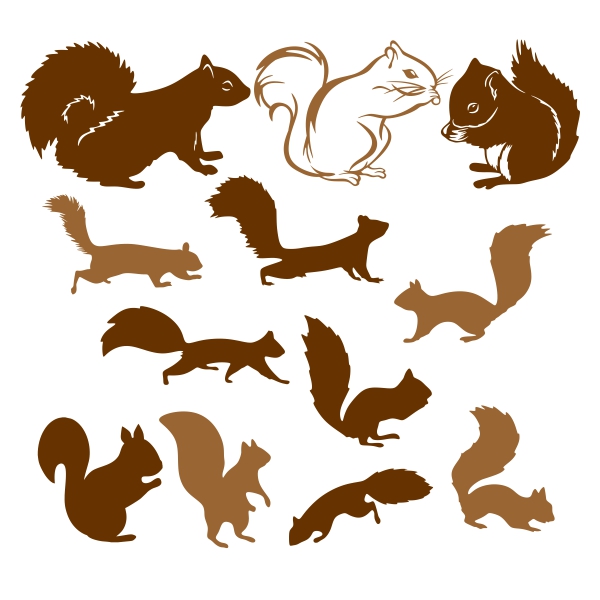 Squirrel Pack SVG Cuttable Designs
