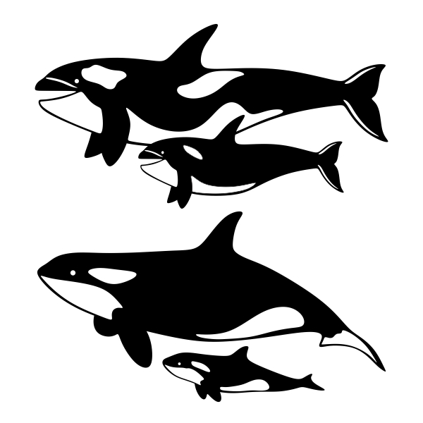 Free Free 276 Baby Whale Svg Free SVG PNG EPS DXF File