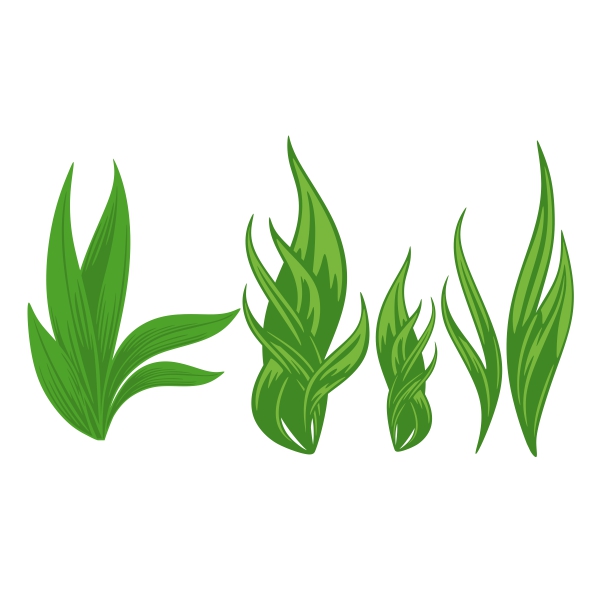 Seaweed SVG Cuttable Design