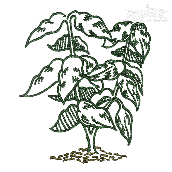 Coffee Tree Embroidery Design
