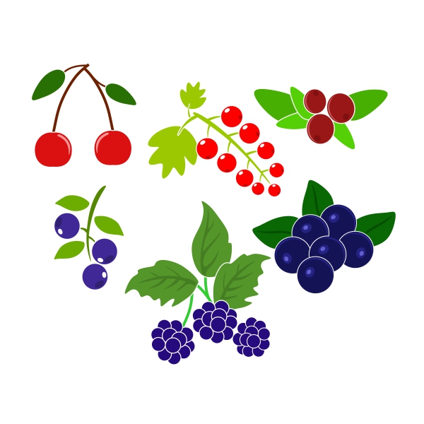 Wild Berries SVG Cuttable Design