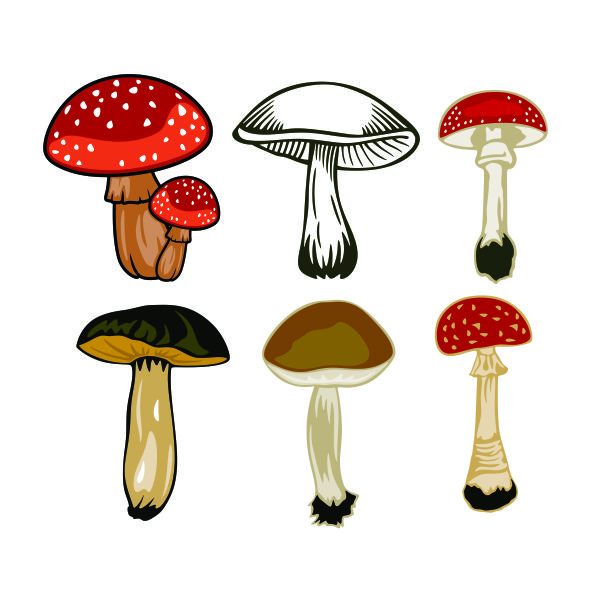 Mushroom Pack SVG Cuttable Design