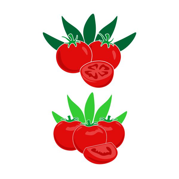 Tomato SVG Cuttable Design