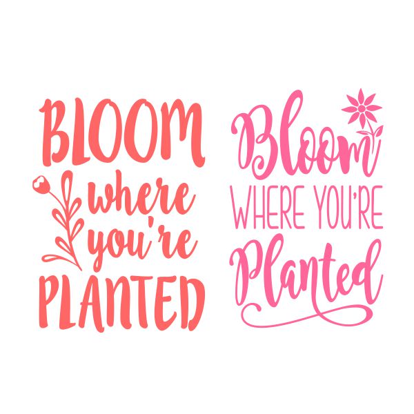 Bloom Where You're Planted SVG Cuttable Design