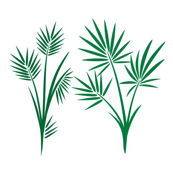 Large Palm Tree SVG Cuttable Design