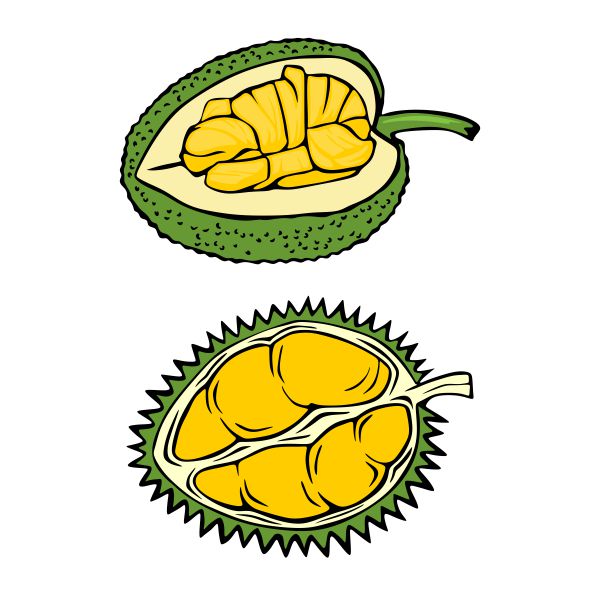 Jackfruit and Durian SVG Cuttable Design