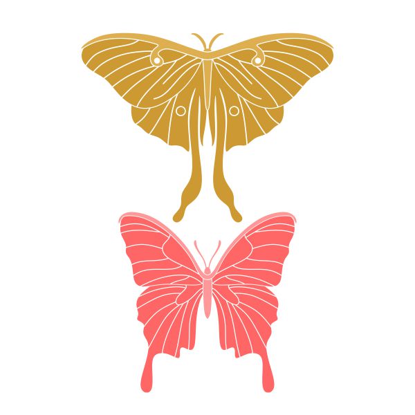 Entomologica Butterfly SVG Cuttable Design