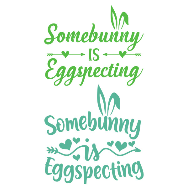 Somebunny is Eggspecting SVG Cuttable Design