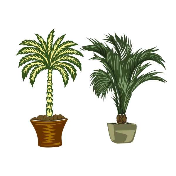 Palm Tree Pot Cuttable Design