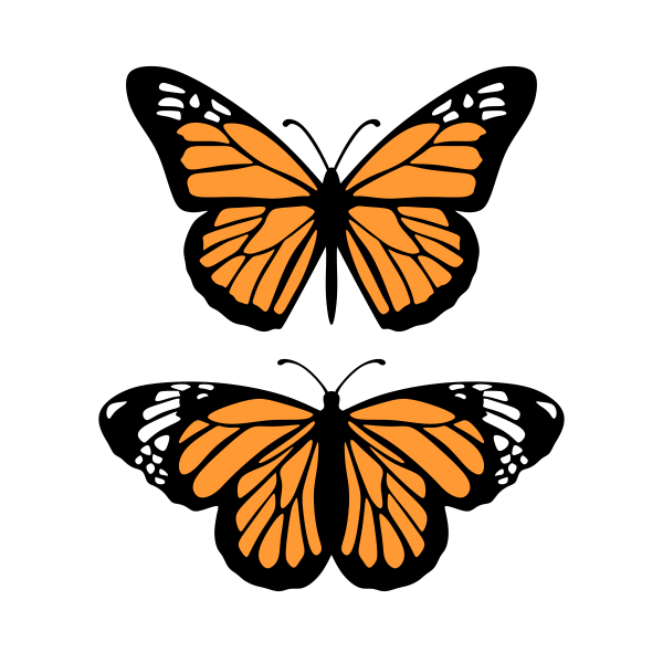 Monarch Butterfly Cuttable Design