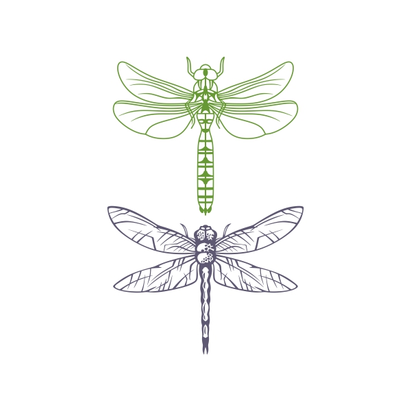 Dragonfly Insect SVG Cuttable Design