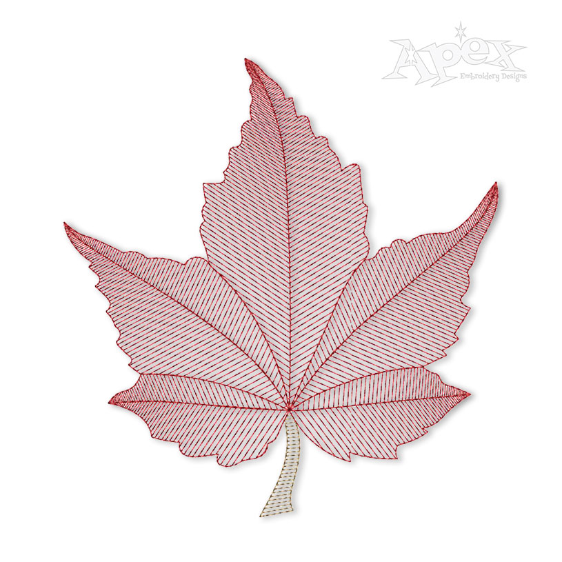 Maple Leaf Sketch Embroidery Designs