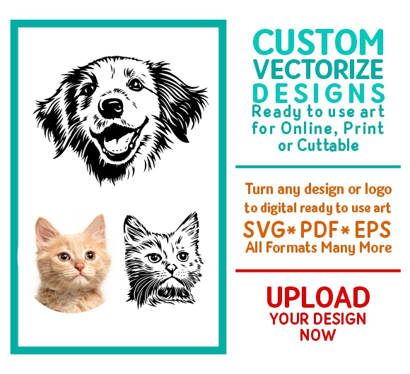 Custom SVG