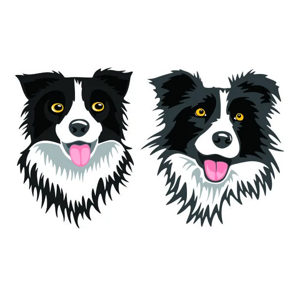 Border Collie Dog SVG Cuttable Design
