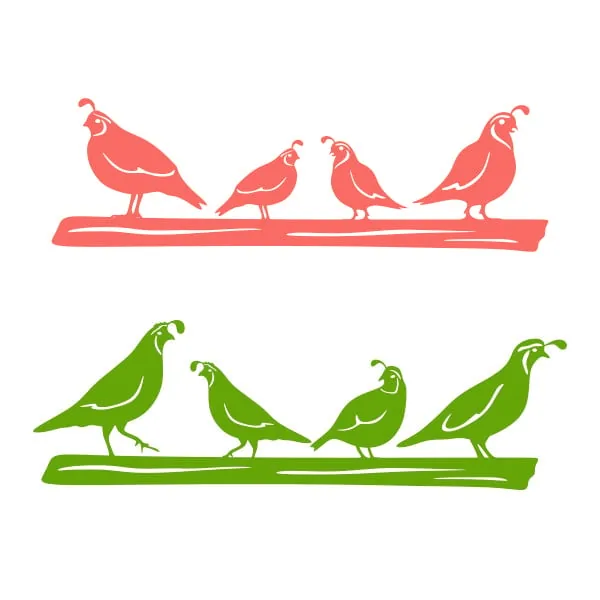 California Quail Bird SVG Cuttable Design