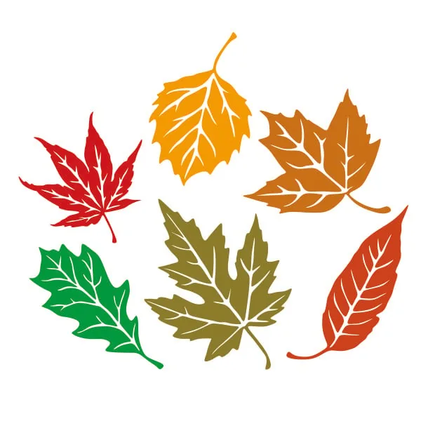 Fall Leaves Pack SVG Cuttable Design