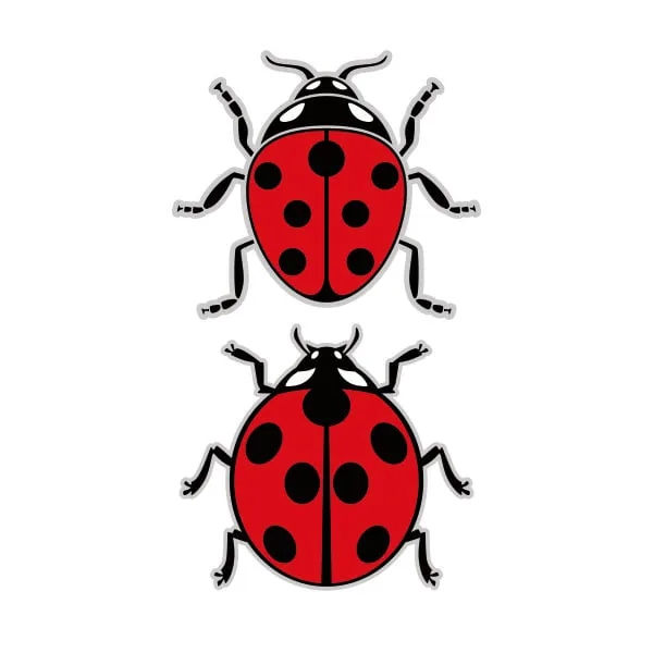 Ladybug SVG Cuttable Design