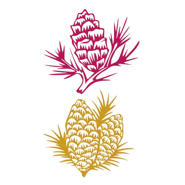 Pine Cone SVG Cuttable Design