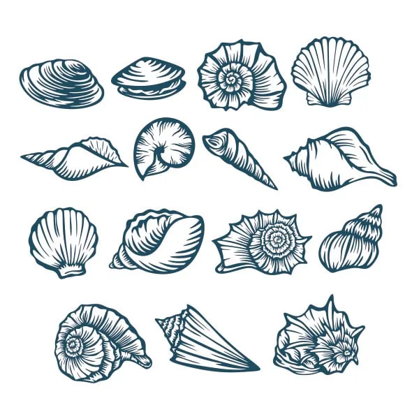 Seashells Pack SVG Cuttable Design